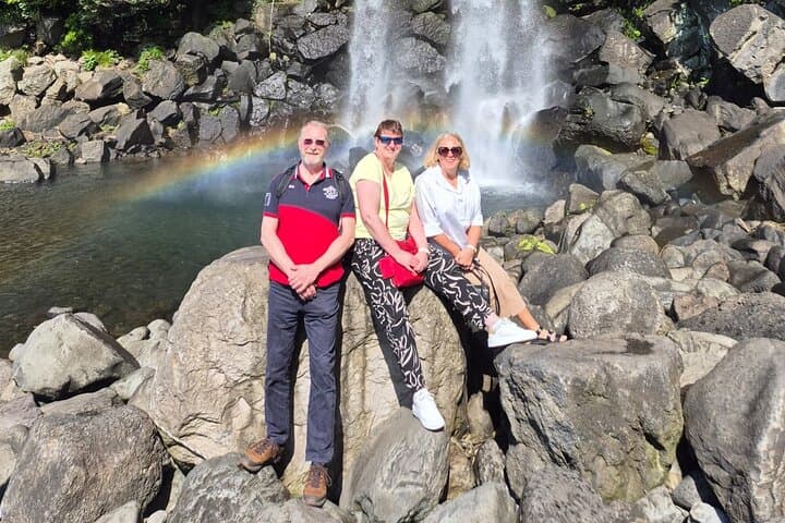 Private Jeju Spirited Garden & South Coast Tour — Jusangjeolli, Gotjawal & O'sulloc photo 2