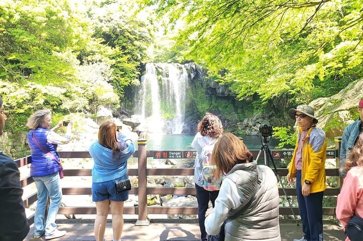 Private Jeju Spirited Garden & South Coast Tour — Jusangjeolli, Gotjawal & O'sulloc photo 3
