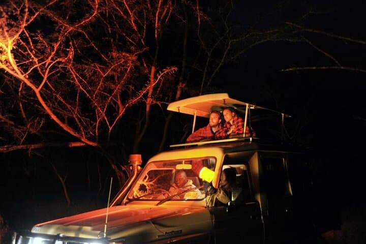Nairobi National Park Sunset and Night Game Drive: A Unique Urban Safari Experience photo 2