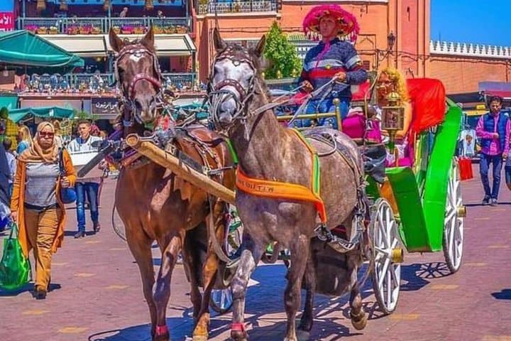 Marrakesh One-Hour Horse-Drawn Carriage Ride and Menara Garden Visit photo 5