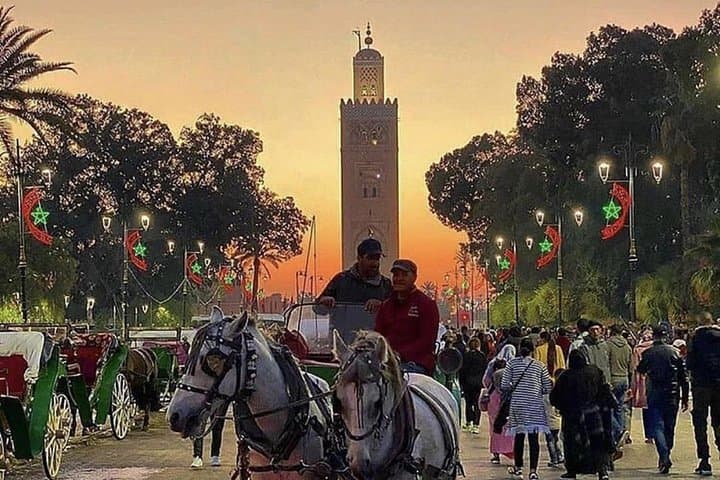 Marrakesh One-Hour Horse-Drawn Carriage Ride and Menara Garden Visit photo 6