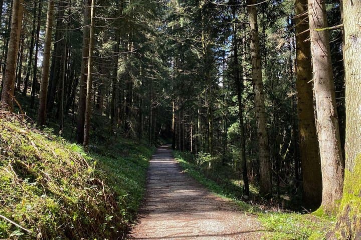 Eagle's Nest E‑Bike Tour: Ride to Kehlsteinhaus from Berchtesgaden photo 3