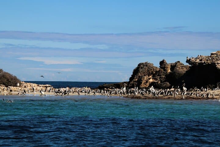 8-Day Peru Adventure: Lima, Ballestas Islands, Huacachina & Machu Picchu photo 4