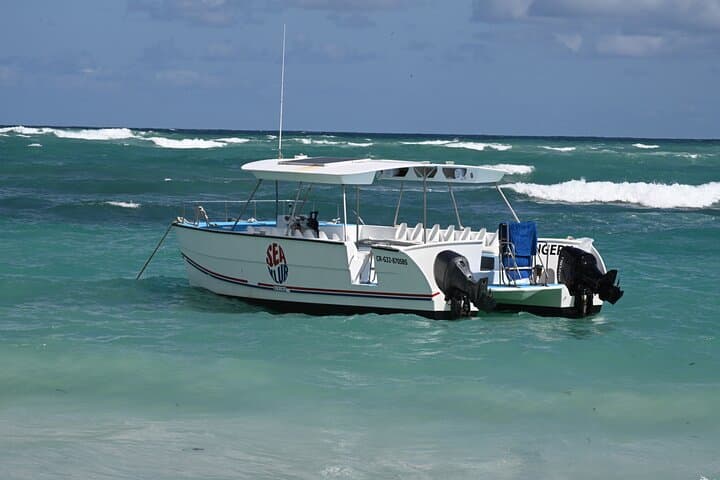 Bávaro Natural Pool Snorkel Trip — Punta Cana Reef Cruise photo 6