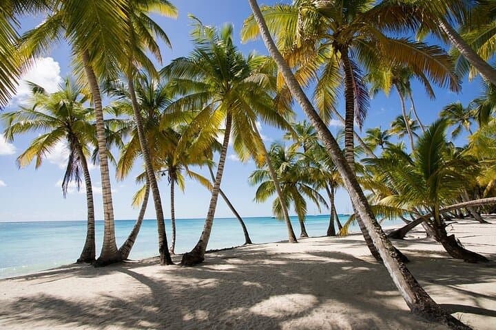 Saona Island Tour from Bayahibe — Natural Pool, Beach Lunch & Catamaran Return