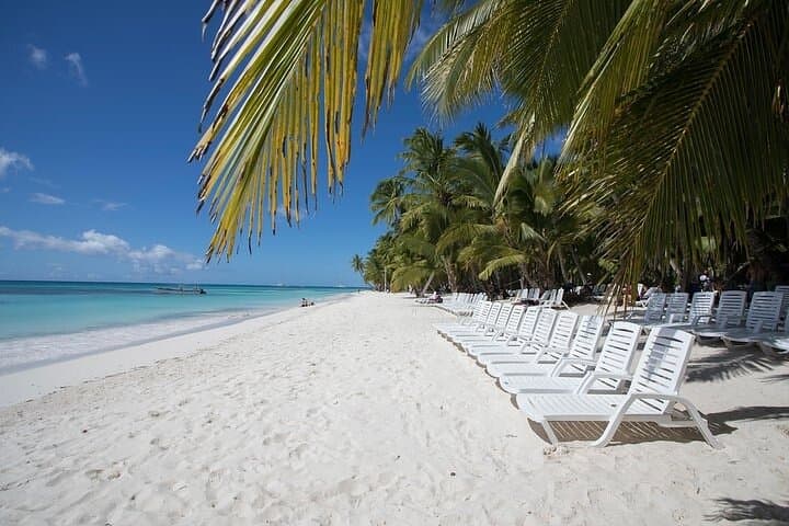 Saona Island Tour from Bayahibe — Natural Pool, Beach Lunch & Catamaran Return photo 3