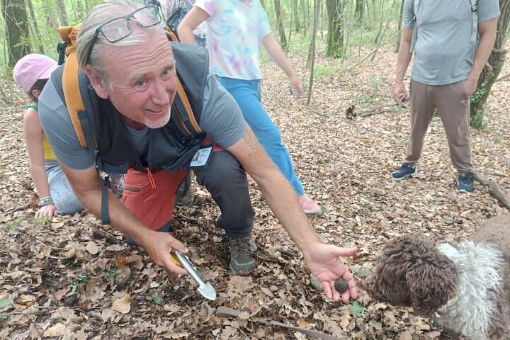 Truffle Hunting, Lunch & Chianti Tasting: Day Trip from Pisa