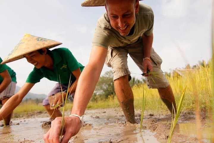 Hands-On Rice Farming Near Luang Prabang: Half-Day Field-to-Table Experience photo 5