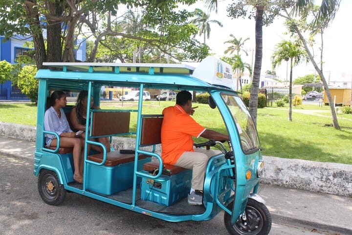 Belize City Half-Day All-Inclusive Cruise Shore Excursion