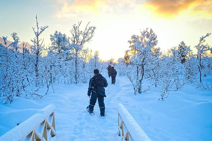 Aurora Crystal Lavvo Overnight from Tromsø: Snowshoeing & Northern Lights in Lyngen photo 3