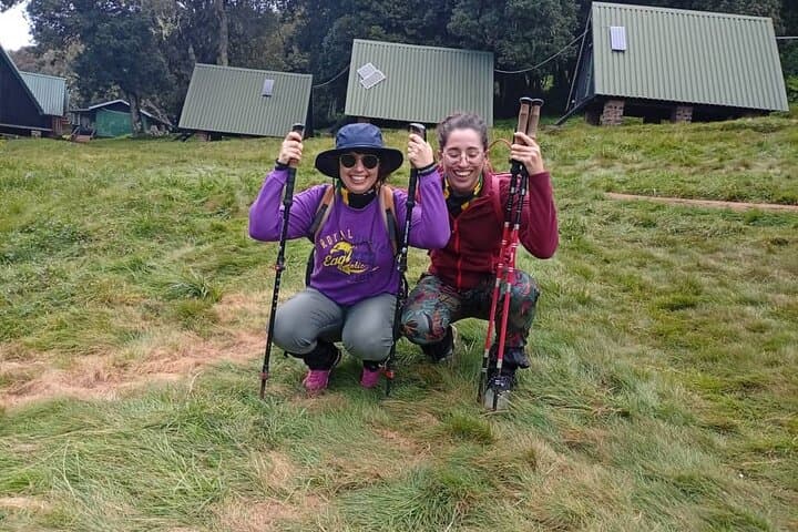 Kilimanjaro One-Day Hike — Marangu Route to Mandara Hut photo 3
