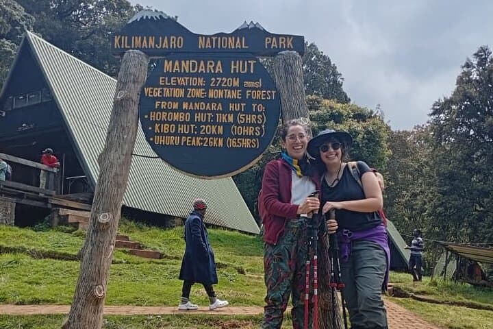 Kilimanjaro One-Day Hike — Marangu Route to Mandara Hut photo 5