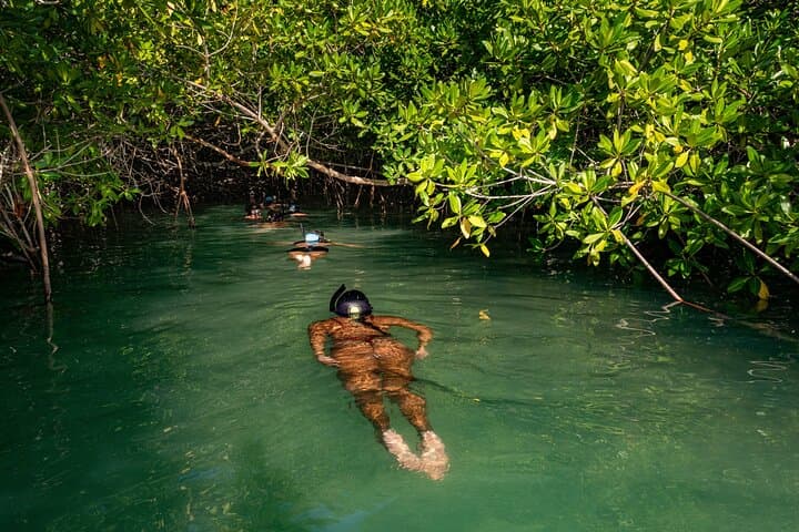 Paddle Lac Bay: 2-Hour Mangrove Kayak & Snorkel Tour in Bonaire photo 3
