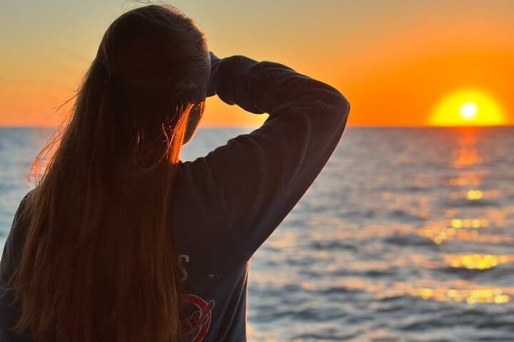 Dolphin Sunset Cruise at John's Pass — Madeira Beach Sunset Boat Tour photo 5