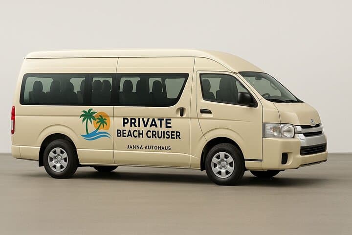 Beach-Hopping Curacao: Private 11‑Seat Minivan Tour to Flamingos, Pigs & Turtles