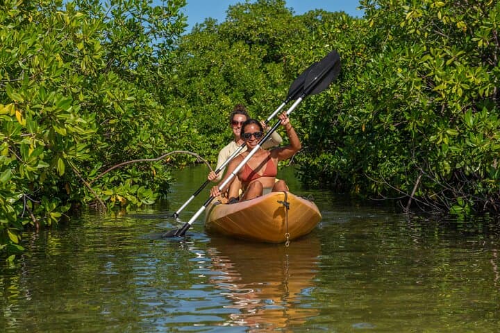 Paddle Lac Bay: 2-Hour Mangrove Kayak & Snorkel Tour in Bonaire photo 6