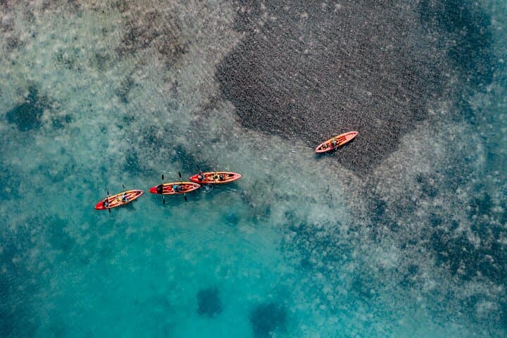 Paddle Lac Bay: 1-Hour Mangrove Kayak Tour in Bonaire photo 2