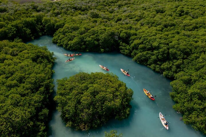 Paddle Lac Bay: 2-Hour Mangrove Kayak & Snorkel Tour in Bonaire photo 2