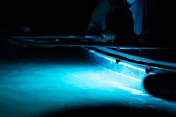 Night Mangrove Kayak Tour in Lac Bay — Bioluminescence & Nocturnal Wildlife