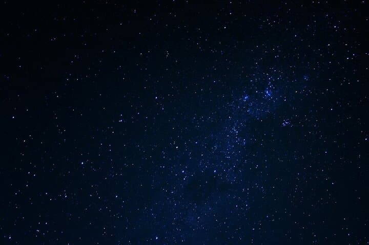 Night Mangrove Kayak Tour in Lac Bay — Bioluminescence & Nocturnal Wildlife photo 2