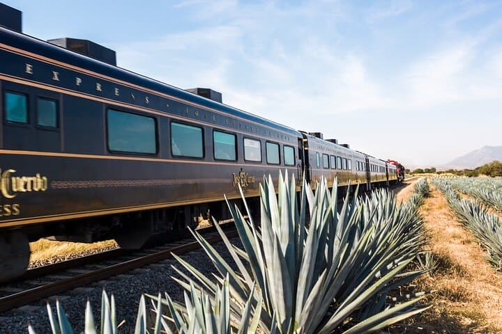 Jose Cuervo Express: Tequila Day Trip from Guadalajara