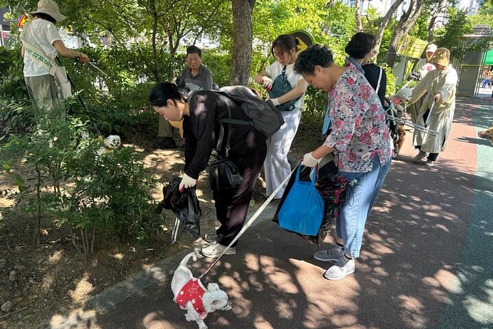 Gwangju Pet Plogging Tour — Pureun-gil Park Clean Walk & Community Animal Care photo 3
