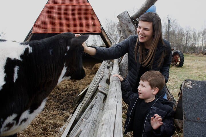 Private Tour at Historic Alaska Dairy Farm — Sun Fire Ridge Experience