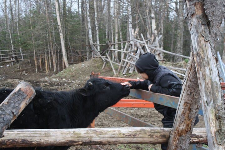 Private Tour at Historic Alaska Dairy Farm — Sun Fire Ridge Experience photo 3