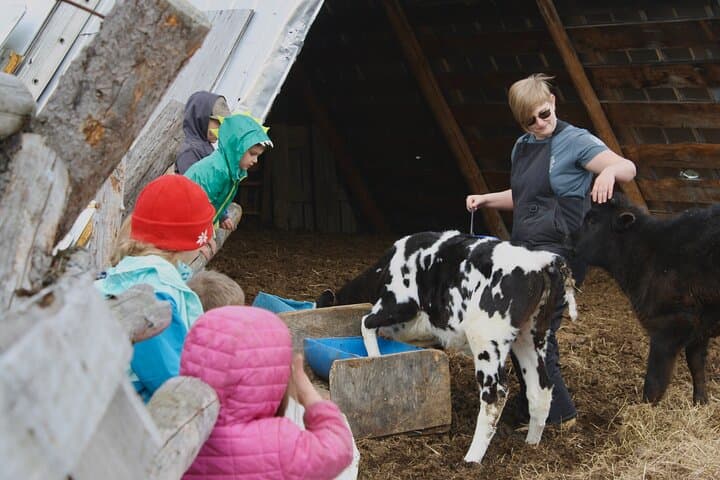 Private Tour at Historic Alaska Dairy Farm — Sun Fire Ridge Experience photo 4