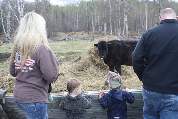 Private Tour at Historic Alaska Dairy Farm — Sun Fire Ridge Experience photo 5