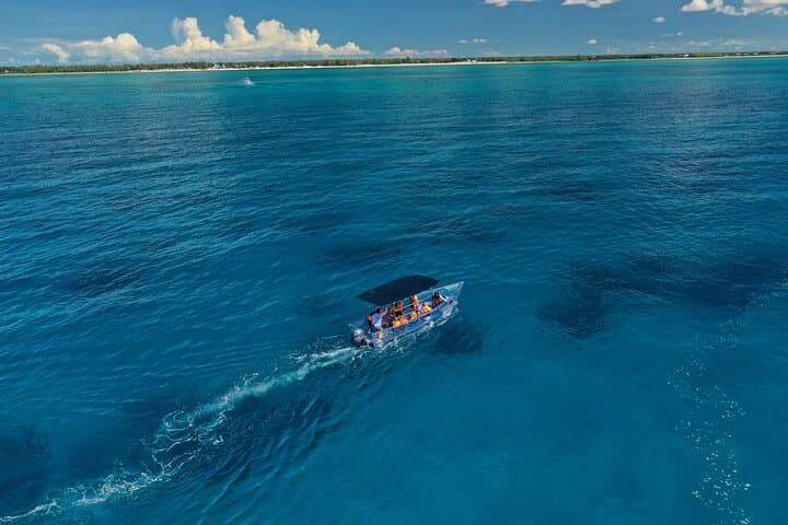 Invisible Boat to Rainbow Reef & Papa Doc Wreck — Clear-Hull Cruise from Freeport photo 5