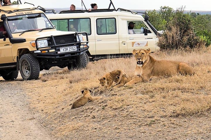Private 3-Day Safari at Lewa Wildlife Conservancy: Rhinos, Grevy’s Zebra & Conservation Tours