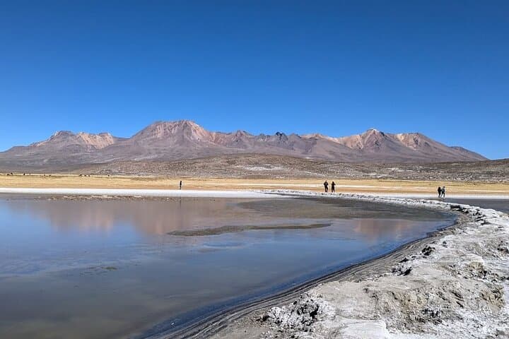 Salinas Lagoon Excursion: Llamas, Flamingos & Arequipa Hot Springs photo 5