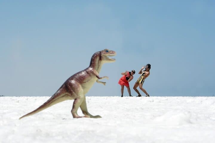 Explore Negritos Salt Flats: Full-Day Tour from Piura photo 3