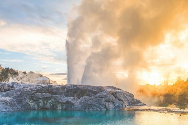 Rotorua Te Puia Day Tour from Auckland — Pohutu Geyser, Haka & Hangi Lunch photo 3