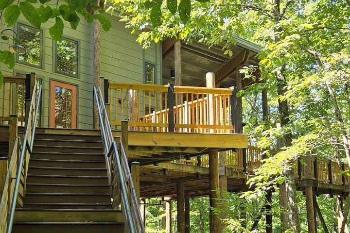 Forest Bathing Hike and Deck Yoga at Beaman Park, Nashville