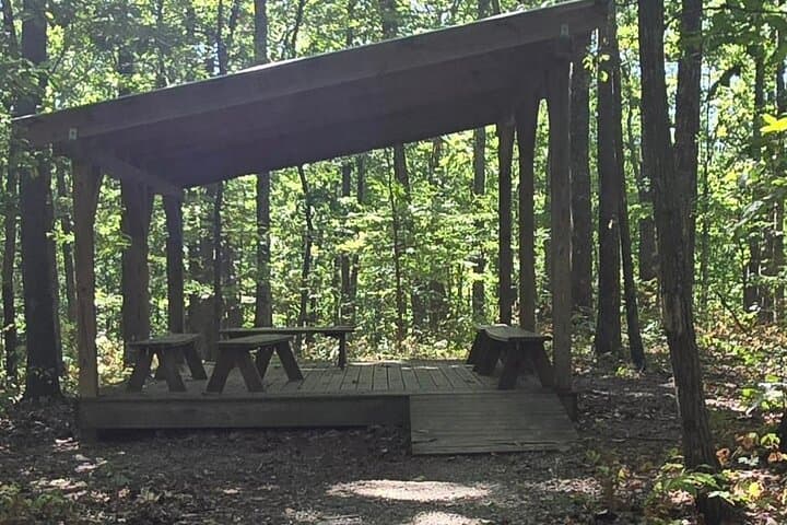 Forest Bathing Hike and Deck Yoga at Beaman Park, Nashville photo 6