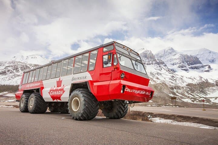 Columbia Icefield Skywalk and Peyto Lake Day Tour from Calgary