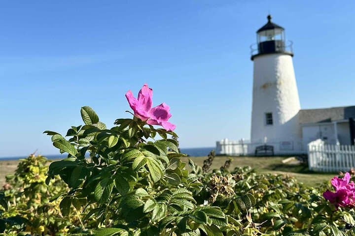 Maine Experience: Coast, Culture & History — Portland to Freeport Day Tour photo 6