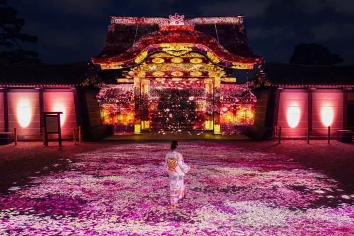 9-Day Best of Japan Cherry Blossom Tour — Tokyo, Kyoto & Osaka Highlights photo 6