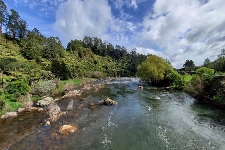 Day Trip from Auckland: Karangahake Gorge Rail Tunnel Loop & Waihi Gold Discovery photo 3