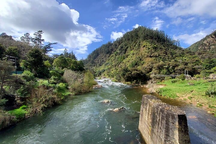 Day Trip from Auckland: Karangahake Gorge Rail Tunnel Loop & Waihi Gold Discovery photo 2