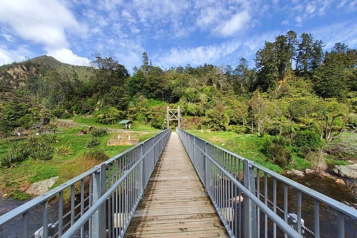 Day Trip from Auckland: Karangahake Gorge Rail Tunnel Loop & Waihi Gold Discovery