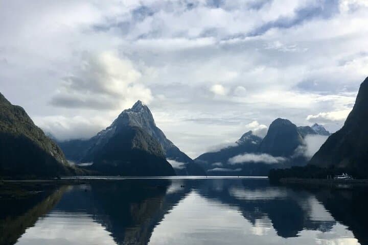 Milford Sound Day Trip from Queenstown — Scenic Cruise, Homer Tunnel & Wildlife