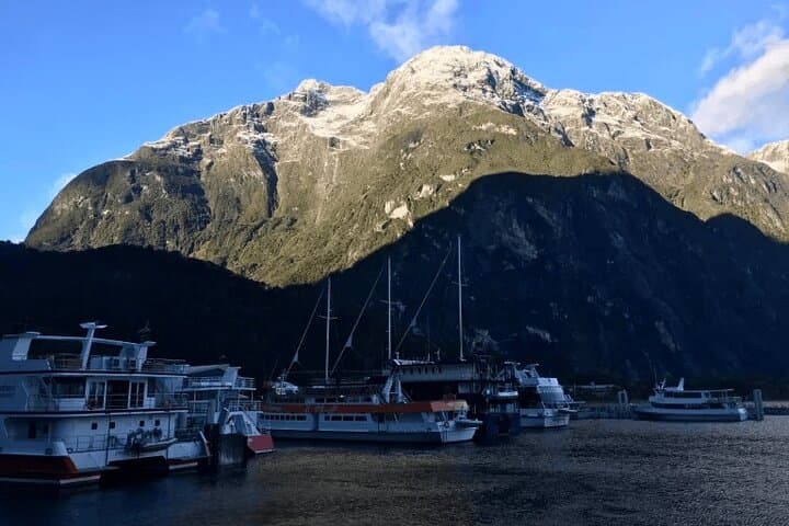 Milford Sound Day Trip from Queenstown — Scenic Cruise, Homer Tunnel & Wildlife photo 6