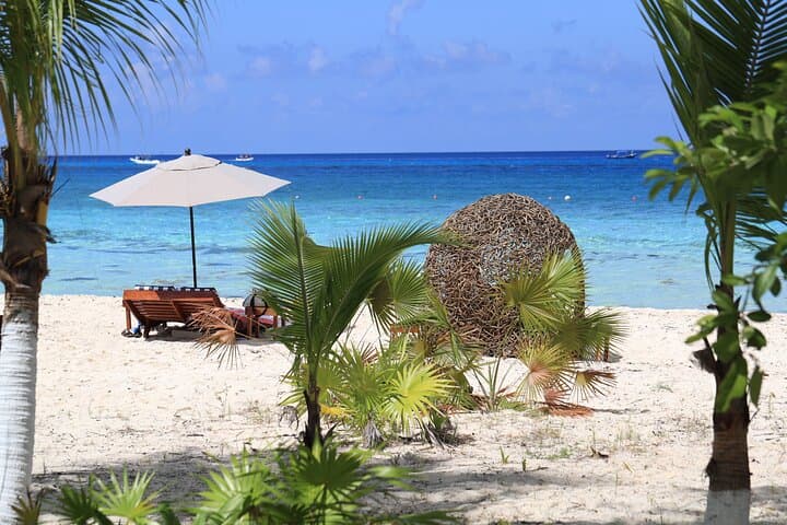 Secret Palancar Beach Experience — Private Beach Day in Cozumel photo 3