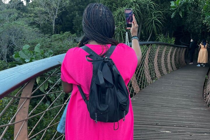 Table Mountain & Kirstenbosch: Cape Town’s Ultimate Nature Duo photo 2