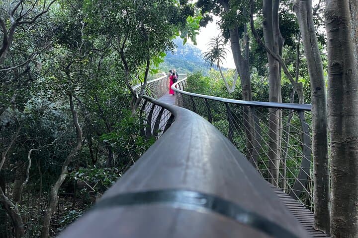 Table Mountain & Kirstenbosch: Cape Town’s Ultimate Nature Duo photo 6