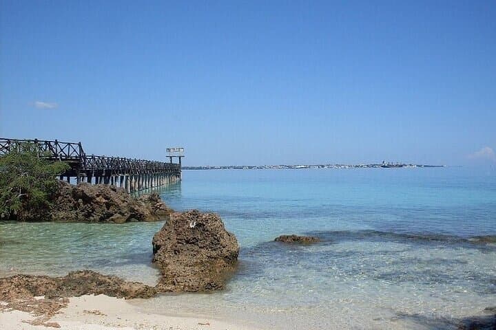 Prison Island Half-Day: Tortoises, Ruins & Snorkel from Stone Town photo 3