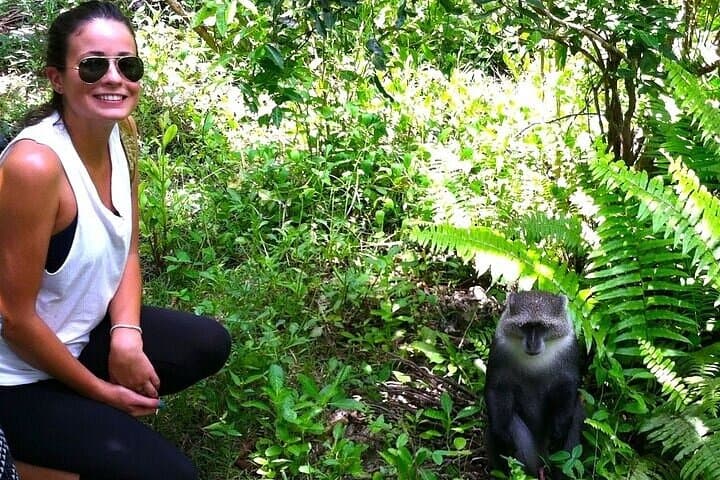 Jozani Forest Half-Day: Discover Red Colobus & Mangrove Boardwalk